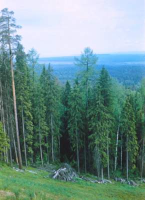 Архангельская область.